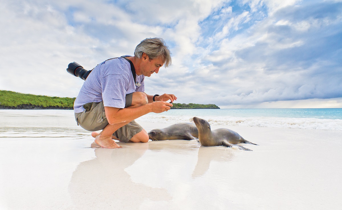 Galapagos Sea Lion 